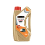 WhatsApp Image 2025-02-21 at 5.28.53 PM